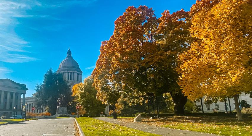 Olympia Washington, Capitol Building During Autumn