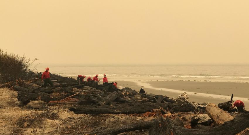 Youth group putting out hot spots on a beach in Tokeland, Washington. 