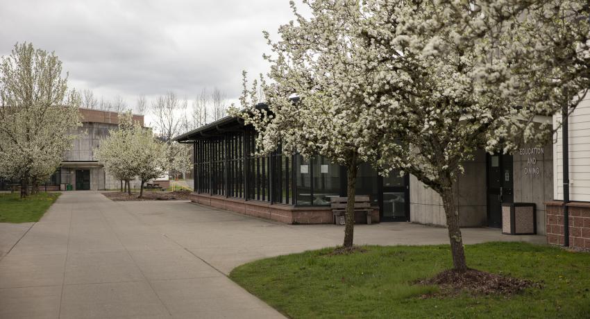 Scene with flowering trees inside JR facility.